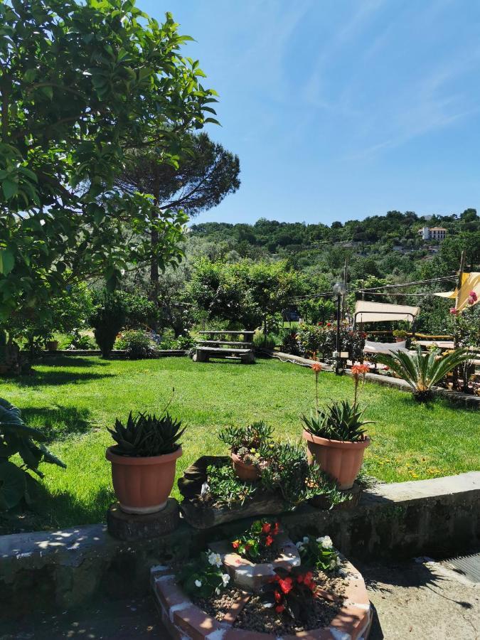 Bed and Breakfast L'Angolo Di Campagna Пьяно-ди-Сорренто Экстерьер фото